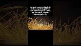 Дофаминовая яма: учёные выяснили, как вырастить новые рецепторы за 7 дней. Вот протокол, работает: