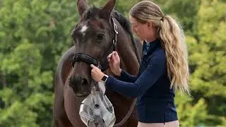 ThinLine® Flexible Filly Slow Feed Grazing Muzzle