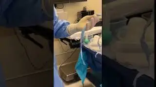 The &ldquo;Correct&rdquo; Way of Putting on a Surgical Gown: A Demonstration