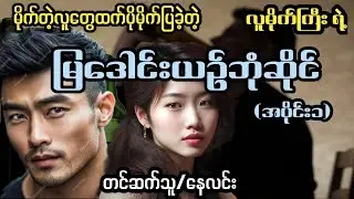 လူမိုက်တွေကိုပညာပေးဆုံးမခဲ့တဲ့လူမိုက်ကြီး#starစတားchannel #audiobook #နေလင်း #naylin