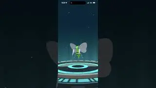 Evolving Shiny Kakuna Into Shiny Beedrill In Pok&eacute;mon Go