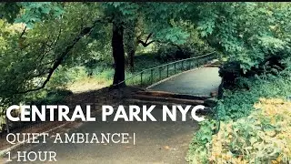 Central Park in Manhattan, NYC before Rain | Quiet Ambiance Study Relaxation meditation focus Sleep