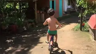Antoni a procura da sua casa na &aacute;rvore