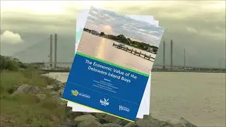 First-ever report on economic value of Delaware Inland Bays released with surprising results