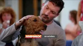 En Octobre sur Animaux BisTV AB Th&eacute;matiques via AERVI Boutique