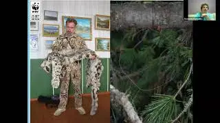 Webinar 7: Snow Leopard Conservation in the Russian Federation