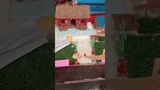 School science fair project exhibition