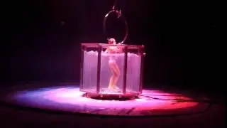 Wetlook im Zirkus