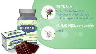 Reli Herb Plus | Protection for Kidney and Liver