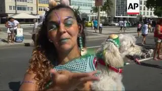 Pets join in Rio de Janeiro carnival celebration