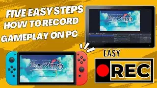 How to Record Nintendo Switch Gameplay On PC With Five Easy Steps