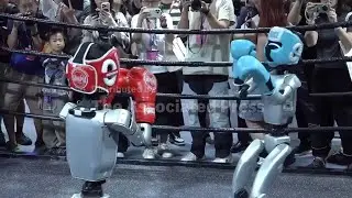 Boxing bots in the ring at World Robot Expo