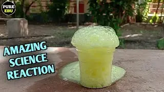 Science experiment | experiment with vinegar | experiment with baking soda | easy science experiment