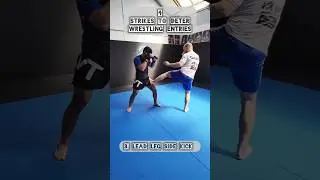 Using strikes to deter a wrestler in MMA ft. Oblique kick, side kick, body jab, snap kick
