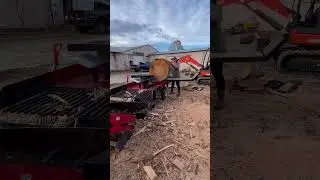 Splitting firewood! #alpha6 #firewood #woodsplitter #timberwolf
