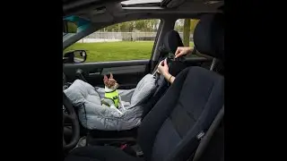 Jacko & Co - Premium Dog Car Seat
