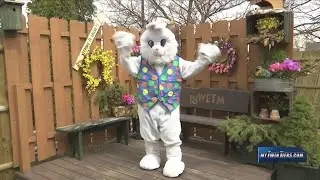 Easter Bunny declared an 