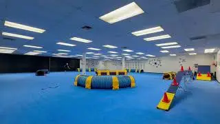 Pippin NADAC Video Trial 6/17