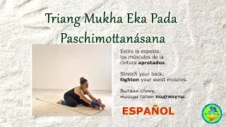 15 Triang Mukha Eka Pada Paschimottanasana ESPAÑOL