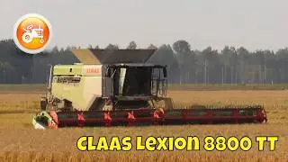 Harvest 2024 | Claas Lexion 8800 combine & Convio 1230 header