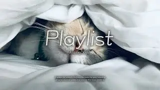 𝐏𝐥𝐚𝐲𝐥𝐢𝐬𝐭🎧 틀어놓기만 해도 분위기 좋아지는 로파이 팝(5시간 반복) | Chill & Lofi-Pop Playlist