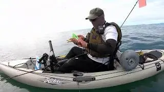 Dungeness Crab Snaring from a Kayak
