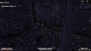 Gothic 2 New Balance zadania u myśliwych polowanie na kł&oacute;jiki sadyzm live v2