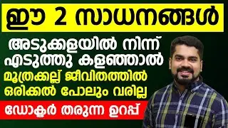 മൂത്രക്കല്ല് വരാതിരിക്കാൻ ഈ 2 സാധനങ്ങൾ അടുക്കളയിൽ നിന്ന് കളഞ്ഞാൽ മതി| kidney stone treatment