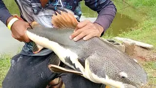 Pesqueiro Escama de ouro em machado mg parte 1  mais de 20 peixes no dia, a&ccedil;&atilde;o o dia todo 
