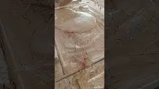 Jipc plaster parac tail daicor