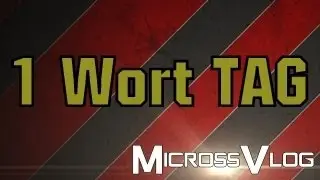 1 Wort TAG  [MicrossVlog]