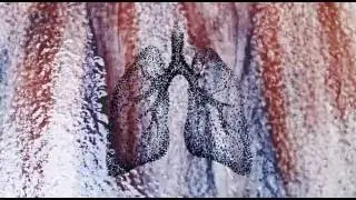 Eden Haze - Breathe - OFFICIAL