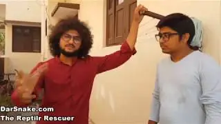 Indian Bengal Monitor Lizard rescuer Wildlife & Reptile Rescue Video.