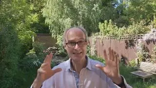 About Damp Surveys