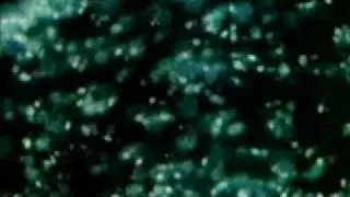 Peter Gabriel -  Sledgehammer