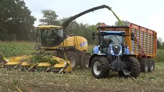 Mais hakselen met een New Holland FR9050 en T7.210 - Loonbedrijf Jansen & Hogeman (2025)