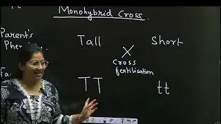 HEREDITY CLASS 10 MONOHYBRID CROSS II MENDEL EXPERIMENT II GENOTYPE PHENOTYPE RATIO II RICHA EDUCATI