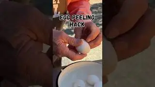 The Best Egg Peeling Hack!