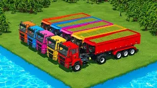 CUT CORN AND MAKE CHAFF WITH SPECIAL HARVESTER AND TRANSPORT WITH MAN TRUCKS - Farming Simulator 22
