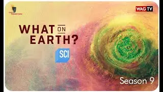 What On Earth? Season 9 Trailer