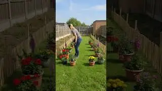 Watch This garden transform From Scratch in fast Timelapse🔥#garden #shorts #lawncare #gardendesign