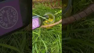 St. John&rsquo;s wort oil infuse