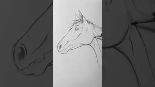 🐴 This Horse Sketch Was Done in JUST 15 Seconds! 🤯 #shorts