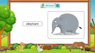 Ch 7 | Sparkle Planet | Picture Book | A | Wild Animals | For children