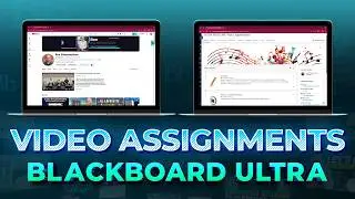 Top Blackboard Expert Shares Best Submission Techniques