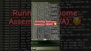 Running BWA-Burrows Wheeler Alignment Tool |Bioinformatics Sequence analysis pipeline