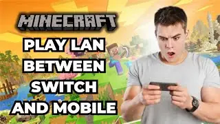 How to Play Minecraft LAN Between Switch and Mobile 2026 (UPDATED)