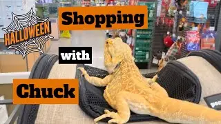 Хэллоуинский шопинг с Чаком