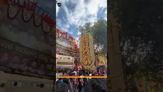 JanaNayagan Massive Cutout Celebration in Karnataka🔥| Thalapathy Vijay | JanaNayagan | TVK | KVN