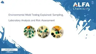 Environmental Mold Testing Explained: Sampling, Laboratory Analysis and Risk Assessment
